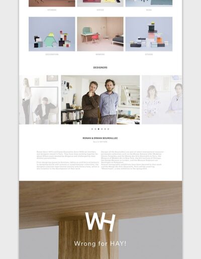 landing pag en modobisnes 4